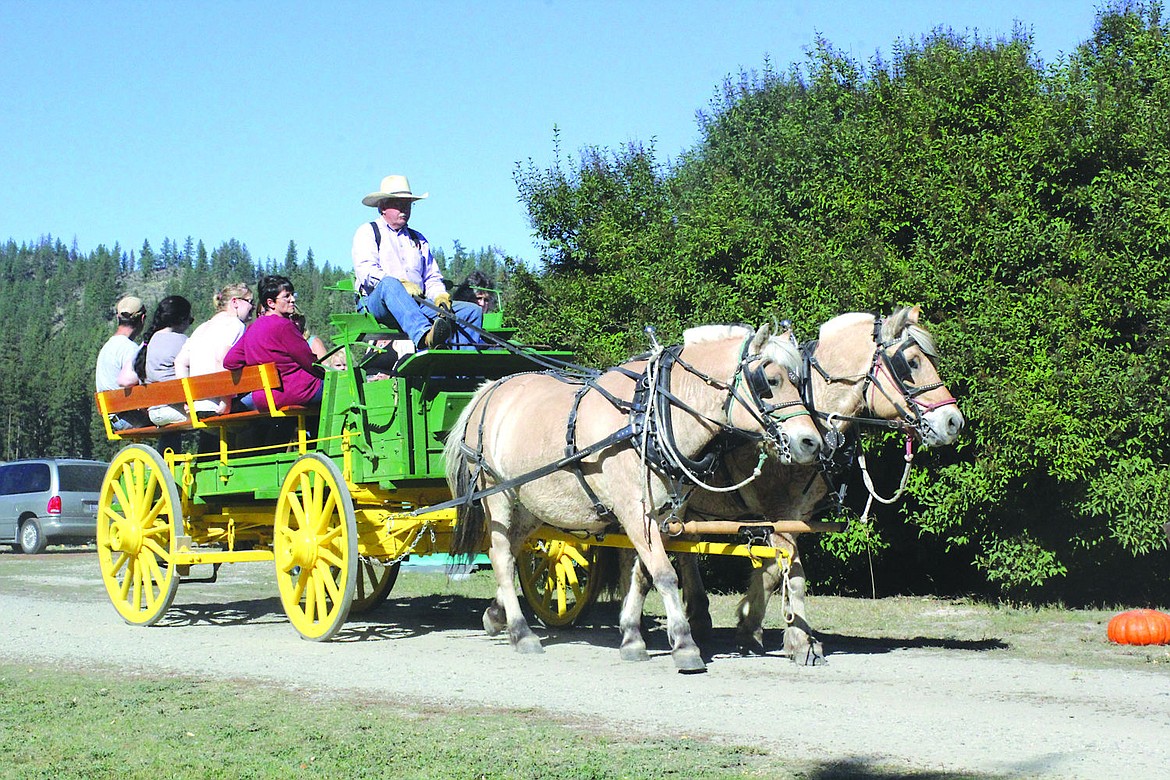 &lt;p&gt;Warren Wickum leads his team of Norwegian Fjords through the grounds of 5 Creek Gardens last Saturday.&lt;/p&gt;