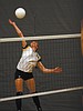 Lady spikers overcome by Loggers