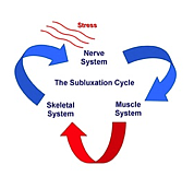 The Subluxation Cycle