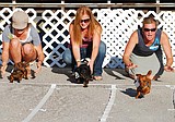Dog races raise money for children