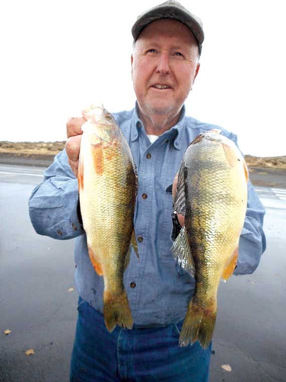 Harry Simpson of Cle Elum has fished Potholes Reservoir for over 45 years.&#160; Harry said that the fishing can not get much better than it is right now for Jumbo Perch on Potholes Reservoir.