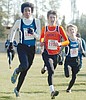 Williams breaks school cross-country record