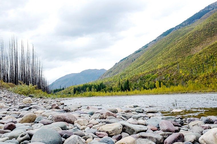 The North Fork of the Flathead River flows between Glacier National Park and the Flathead National Forest in this 2013 file photo. (Daily Inter Lake)