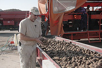 &lt;p&gt;Dan Lake checks to ensure that potatoes making their way to the storage pile are the right size. Spuds that are too big are funneled off to the side and will become instant mashed potatoes.&lt;/p&gt;