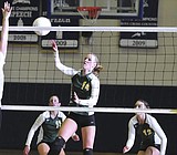 Whitefish spikers blank Wildkats