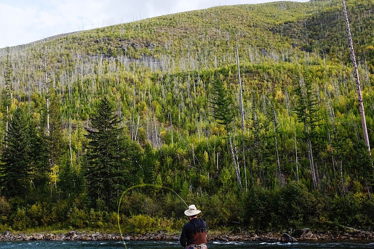 &lt;p&gt;Ray Bongiovanni of Dallas, Texas, fly fishes on the North Fork of the Flathead River Saturday afternoon near the Camas Bridge. Sept. 21, 2013 in North Fork, Montana. (Patrick Cote/Daily Inter Lake)&lt;/p&gt;