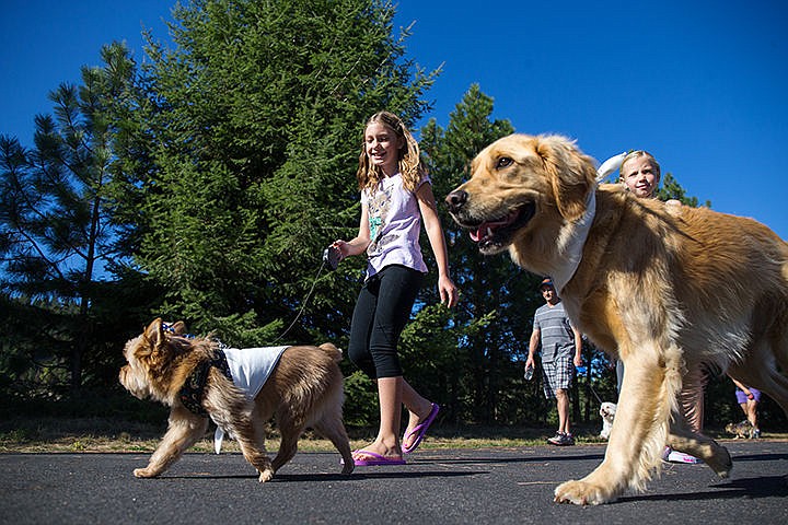 &lt;p&gt;TESS FREEMAN/Press&lt;/p&gt;&lt;p&gt;Kyla Wallis, 9, leads her dogs Teddy and Dozer down the centennial trail by Riverstone Park for her fundraiser &#145;Kyla's Dog for Dog Mile Marathon&#146;&#160;to kick off the Kootenai Humane Society&#146;s fourth annual Drool Stampede on Saturday morning. Kyla partnered with Vicky Nelson, from the Kootenai Humane Society, to contribute money she collected from her classmates at Ramsey Elementary School to the Humane Society.&lt;/p&gt;