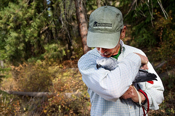 &lt;p&gt;TESS FREEMAN/Press&lt;/p&gt;&lt;p&gt;Michael Meythaler, of Coeur d&#146;Alene, hugs his African Grey Parrot &#145;Niele&#146; as they go for a walk on Tubbs Hill on Thursday afternoon. Meythaler has owned Niele for 18 years and has taught her 300 to 400 words.&lt;/p&gt;