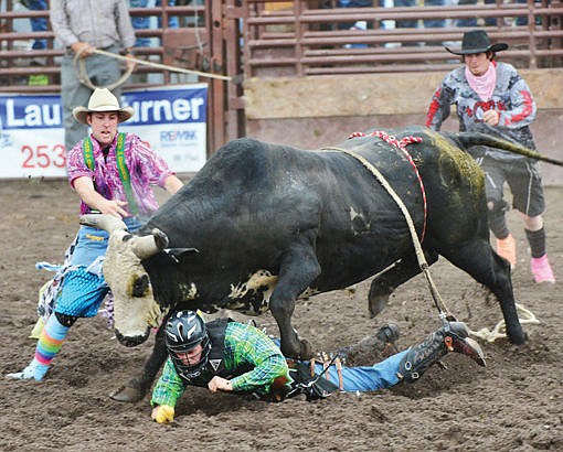 Sorenson top bull rider in Blue Moon rodeo series | Hungry Horse News