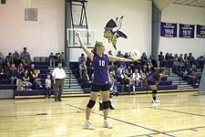 Junior Dawn Blevins gets ready to serve for Charlo last Thursday against St. Regis.
