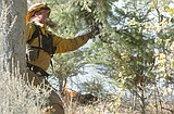 Baldy wild fire consumes more than 200 acres