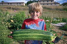 Jason Buffington, 6, shows off the community garden's massive zucchini last Friday evening as Cub Scout Pack 4947 helped members of the community harvest the garden's crops.