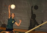 'Dogs serve up win over Ronan