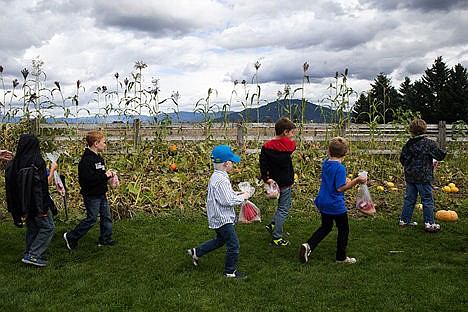 &lt;p&gt;First and second graders from Spokane Valley Christian School start on their walk around the Prairie Home Farm on Wednesday afternoon. The Prairie Home Farm is a five acre farm in Coeur d&#146;Alene that grows over thirty species of squash and pumpkins each season.&lt;/p&gt;