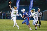 Dogs shut out in battle with Wildcats