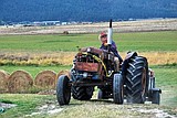 Lighthouse celebrates annual Harvest Festival