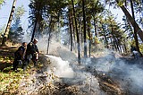 Brush fire burns small portion of Tubbs Hill