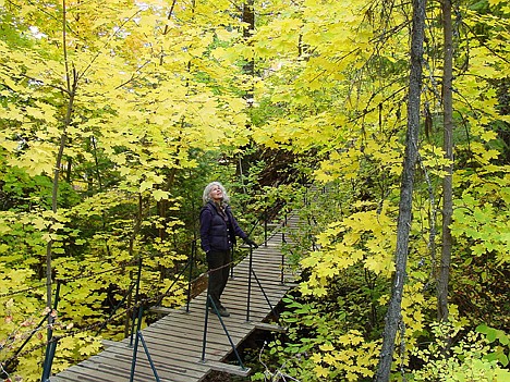 &lt;p&gt;Jane Houghton, former member of the urban forestry committee and member of the U.S. Forest Service, was photographed inspecting trees on Tubbs Hill. The photo was used by the National Parks Service on its 2008 budget packet it presented to the U.S. Congress.&lt;/p&gt;