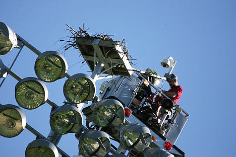 &lt;p&gt;Westside Fire Chief Dale Hopkins and Sandpoint Online camera technician Land Otis prepare to dismount the old Osprey Cam, which is 100 feet off the ground.&lt;/p&gt;