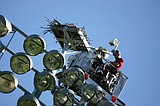 Osprey cam gets upgrade