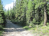 Forest Service seeks comments on fire risk reduction project