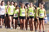 Harriers strong against stacked field