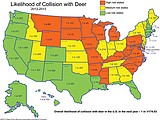 Montana is No. 2 in deer-vehicle collisions