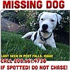 Have you seen Ebin?