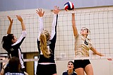PREP VOLLEYBALL: Lakeland posts first league win since '11