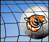 Lady Tigers lose away game to Grandview Greyhounds