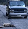Investigation dropped of man who said he hit wolves