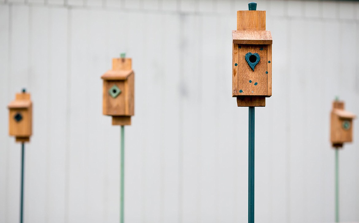 &lt;p&gt;Birdhouses handcrafted by Girl Scouts in Troop 3008 are seen in a bird sancturary on Tuesday at Frederick Post Elementary School in Post Falls.&lt;/p&gt;