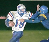 Cats edge Libby in thriller