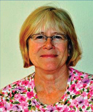 Kim Fleming, Democrat, House District 11