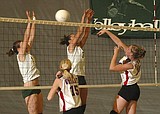 Lady 'Dogs spike 'Kats, sweep season series