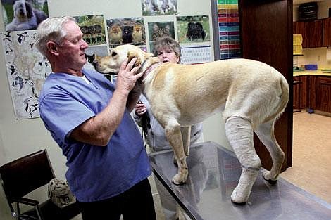 Jason Shueh/Valley Press Dr. Alan Marley said that he looks forward to serving the Plains community and that he intends to use is 40 years in the veterinary field to continue Lynch Creek Veterinary Clinic&#146;s quality service.