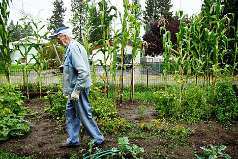 &lt;p&gt;Richard Martin, 92, walks through the garden behind his Post Falls home Thursday where he's grown 15-foot tall stalks of corn among his other vegetables.&lt;/p&gt;