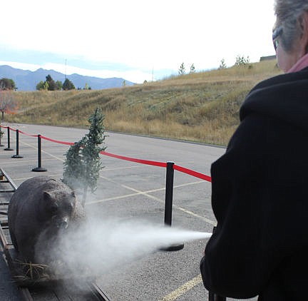 &lt;p&gt;This woman got off the couch. She read the Community Calendar and found out about the pimpkin weigh-in and bear spray exhibition at Murdoch's Saturday. Most of those who didn't read the calendar, stayed on their couches and missed the 651-pound winner and a charging bear.&lt;/p&gt;