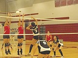 Warrior girls drop two in volleyball
