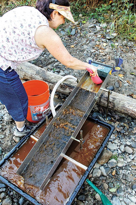 &lt;p&gt;Rebecca Fuller of Troutdale pours spoonfuls of dirt into the stream of water at the top of the angled trough on the portable sluice machine that she and her husband Bruce are using on the East Fork of the Lewis River searching for gold, Sept. 20.&lt;/p&gt;