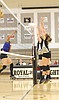 Royal volleyball falls in three twice