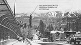 Faux pine tree cell tower considered