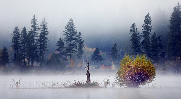 Fog creeps in and mutes the fall color on September 30 at Echo Lake.