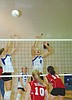 Volleyball team pushes Wildkats to five games