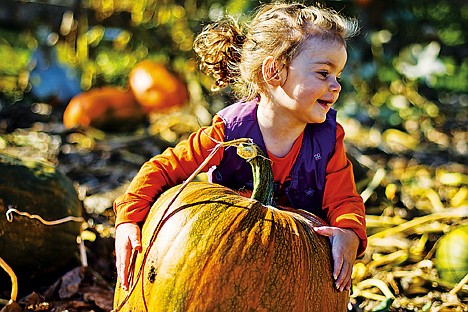 &lt;p&gt;Annabelle Tucker, 1, wraps her arms around a large pumpkin Saturday at Prairie Home Farm while searching the patch with her grandmother for the perfect choice.&lt;/p&gt;