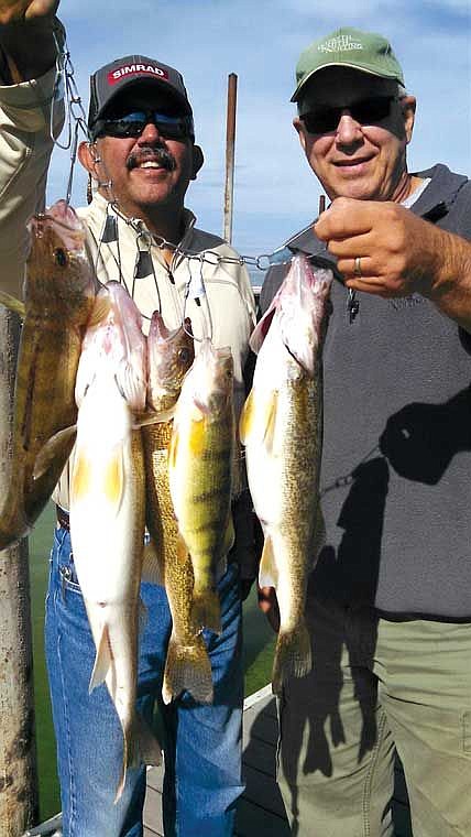 Jeff and Jerry of Seattle hadn't enjoyed fishing Potholes Reservoir for over 22 years. They heard the walleye action was great so they came back to their old fishing hole to give it another try. Trolling spinners and crawlers they found some quality walleye on the face of the sand dunes.