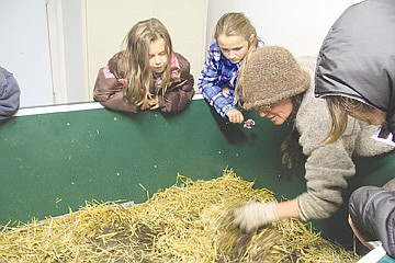 &lt;p&gt;Pattie Fialcowitz, right, sifts through a bin housing 20,000 compost-producing worms, as Melchiah Daniels, left, and Carla Hahn, center, look on.&lt;/p&gt;