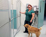 Quincy's new shelter 'substantially complete'