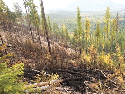 &lt;p&gt;LIBBY, Mont. October 11, 2015 &#8211; The Klatawa and Smearl fires on the Kootenai National Forest continue to concern fire officials. A long-term management plan is in-place to manage the Klatawa fire. The Klatawa fire is currently 5112 acres and contingency fire lines are in place to stop the spread. Most of the fire growth is topography driven and with the winds, fire personnel are expect to see continued creeping and backing into the handlines that have been constructed. Fire personnel will continue to monitor and reinforce fire lines to keep the fire from spreading toward private property and homes.&lt;/p&gt;