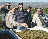 Business community tour wineries